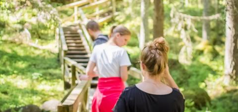 People walking on a forest trail. 