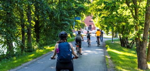 Pyöräilijöitä ajamassa selkä kohti kameraa vihreän metsän reunustamalla tiellä.