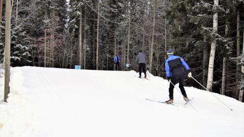 Hiihtäjiä Kaupissa