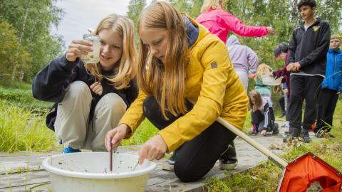 Kaksi tyttöä tutkii vatia ja vesipurkkia suolla