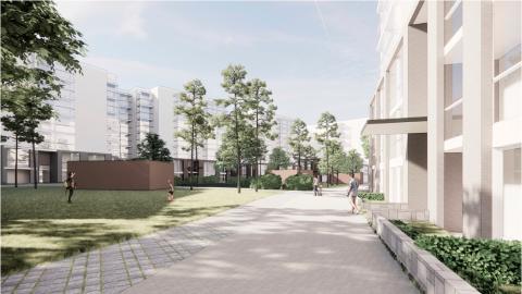 Kivetty kulkuväylä, nurmikkoa ja vaaleita rakennuksia molemmin puolin.