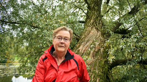 Henkilö istuu puunrungolla. Taustalla puun oksat.