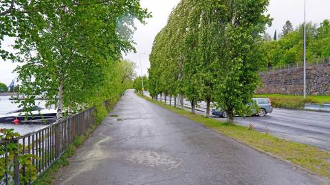 Paasikivenkadun vierustan kävely- ja pyöräväylä Mustalahdessa.