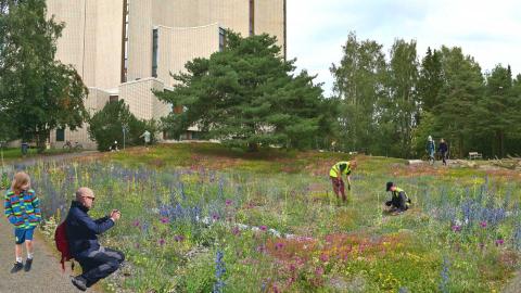 Ulkoilijoita Liisanpuiston kukkakedolla Kalevan kirkon takana. 