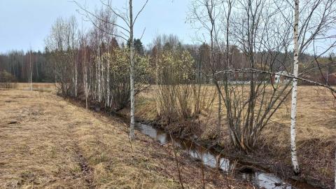 Peltomaisemaa ja oja Linnainmaanpuistossa.