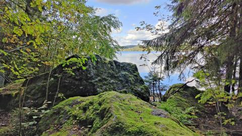 Kivikkoa Pyhäjärven rannalla, Härmälän luontopolulla.