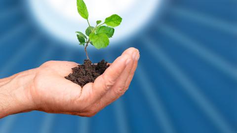 Käsi pitämässä taimea. Taustalla Metson kupoli. 