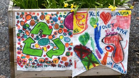 Narsisseja istutuslaatikossa, jonka kyljessä lasten tekemiä julisteita.