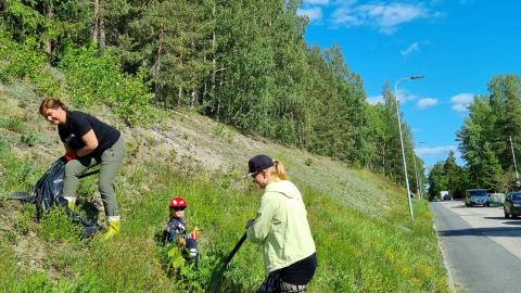 Kaksi aikuista ja lapsi nurmikkorinteessä Aikuisilla on käsissä muovisäkit. Oikeassa laidassa kulkee asfalttitie.