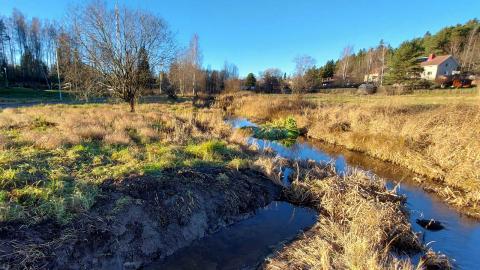 Vuohenoja virtaa Varsanpuiston ja Hurmarpellon viheralueen läpi.