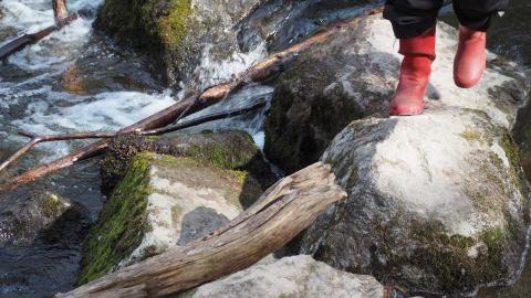 Virtaava Pärrinkoski keväällä.