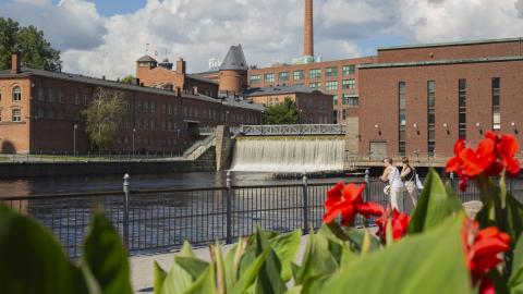 Tammerkosken vesiputous ja tehdasrakennuksia, etualalla punaisia kukkia.