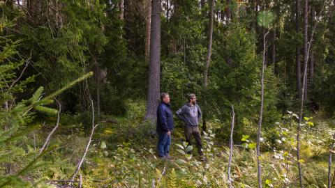 Tiheässä metsässä kaksi miestä seisomassa ja katselemassa maisemaa.