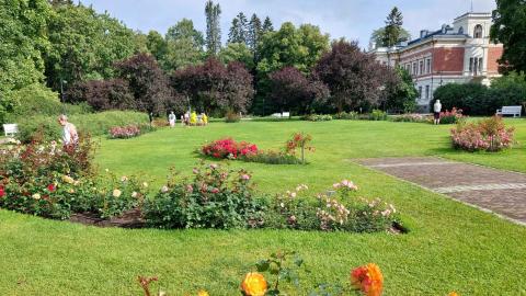 Kävijöitä Hatanpään arboretumin ruusutarhassa.