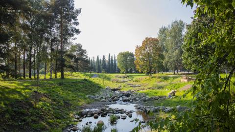 Kuvassa puita ja kasvillisuutta, keskellä kivikkoinen oja ja penkki.