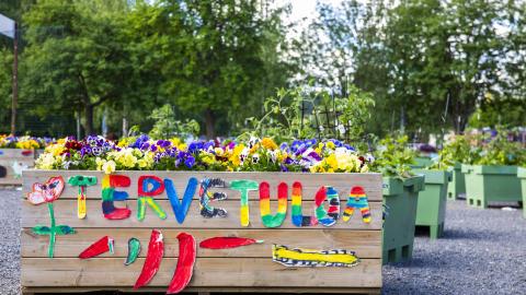 A wooden plant growing box with colourful letters saying &quot;Tervetuloa&quot;.