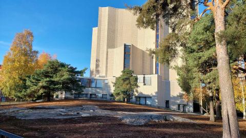 Liisanpuiston kedon kasvualusta Kalevankirkon itäpuolella.