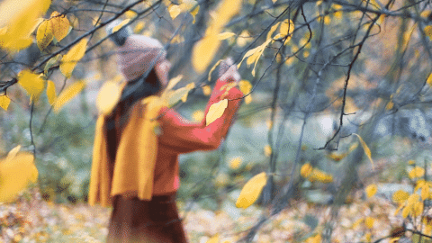 Ihminen syysmetsässä.