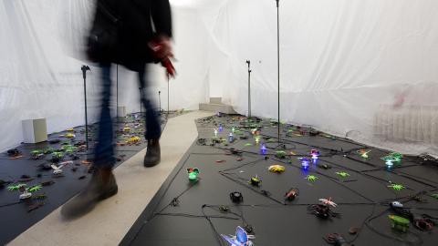 Taiteilija Kaisa Kuukkosen toteuttamassa installaatiossa mustapohjaisella lattialla on valaistuja ja värikkäitä hyönteisiä, joiden välillä risteilee johtoja.