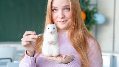 A person is holding a felted mouse figure in their hand.