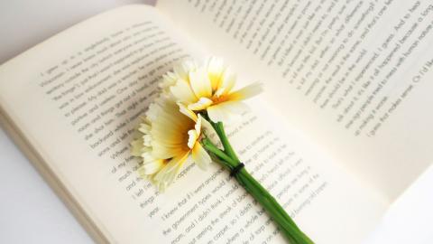 Avoin kirja, jonka vasemman sivun päällä on yksi vaalea kukka. 