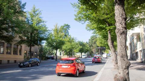 Katulehmuksia ja liikennettä Satamakadun länsipäässä.