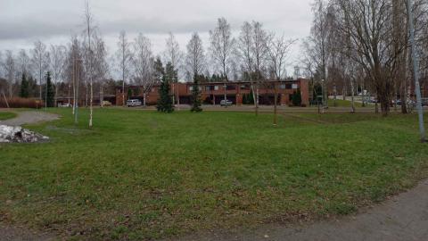 Nurmialuetta ja taustalla rivitaloja ja koivikkoa.