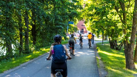 Pyöräilijöitä ajamassa selkä kohti kameraa vihreän metsän reunustamalla tiellä.