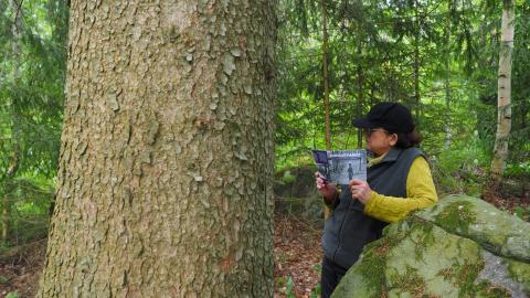 Kulttuuriluotsi Riitta Vesanto lukee Parhaat paikat -esitetta mielipaikassaan.