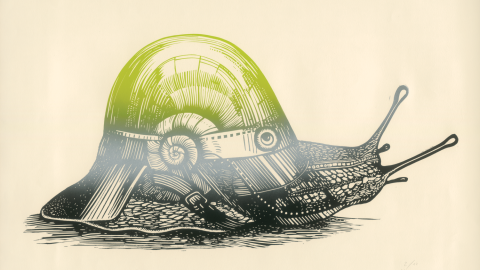 Piiroskuvassa etana, jolla on vihreä kotilo.