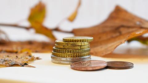 Kolikkoja päällekkäin pöydällä. Taustalla on puunlehtiä.