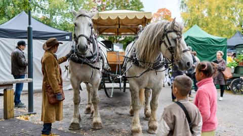Kaksi lasta katsovat, kun hevostenhoitaja silittää hevosta.
