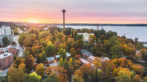 Ilmakuvassa syksyiset puut ja taustalla kohoava Näsinneula.