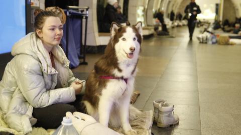 A girl sitting inside the subway station with a dog.
