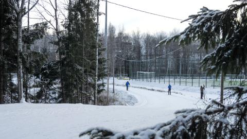 Skiers on ski track.