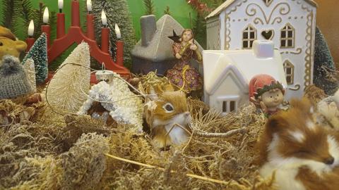 Osa Juhannuskylän koulun biologian joulukalenterivitriinistä. Kuvassa pieniä jouluisia hamoja ja kynttelikkö.