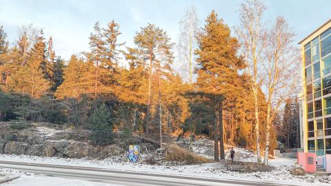 Ristimäki on kallioinen ja puustoinen tontti, jonka vieressä on uudehko kerrostalo.