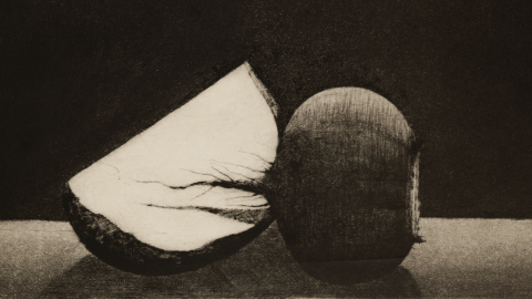 Mustavalkoinen grafiikanvedos dramaattisesti valaistusta lantunpalasta, jonka halkaistua pintaa vasten piirtyy punajuuren juuri varjoineen.