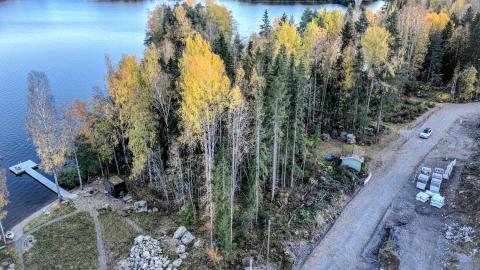 Rakentamaton puustoinen omakotitalotontti järvenrannalla tien vieressä.