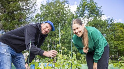 Kaksi henkilöä on kumartuneena viljelyksien ääressä ja katsoo hymyillen kameraan.