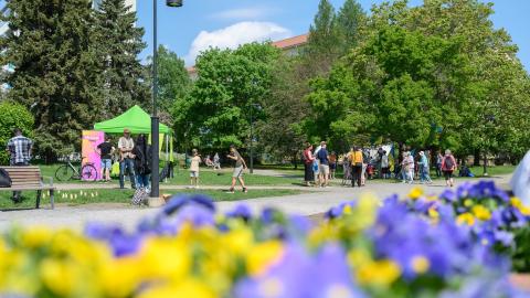 People are spending time in the park on a summer day.
