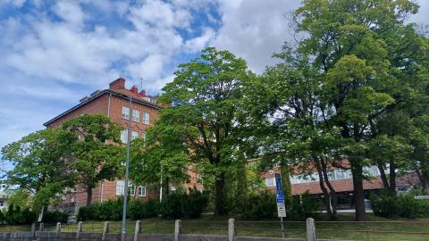 Juhannuskylän koulun Tammerkosken koulutalo kesällä.