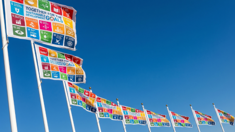 A row of colourful flags on flagpoles.