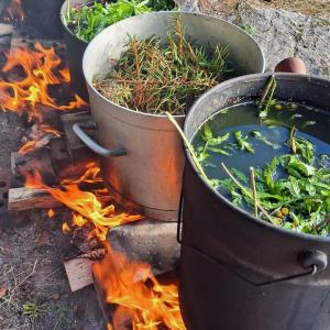 Kaksi pataa lämmityksessä. Padoissa on kiehumassa kasveja.