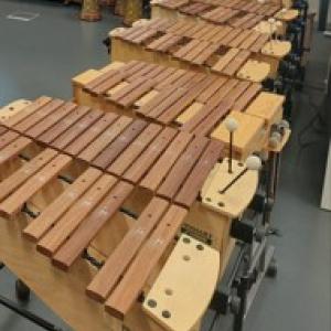 Ksylofoneja rivissä