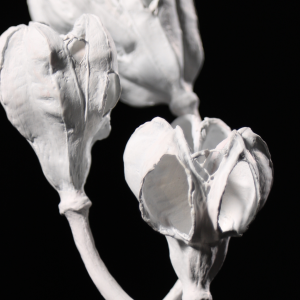 Kuvataideteos, joka muodostaa kukinnon.