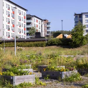 Kerrostaloja, niittyä ja viljelylaatikoita Sahavainionpuistossa.