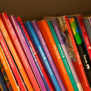 Textbooks lined up on a shelf.