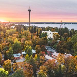 Ilmakuvassa syksyiset puut ja taustalla kohoava Näsinneula.