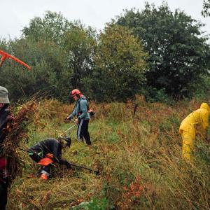 Talkoolaisia haravoimassa ja touhuamassa niityllä.